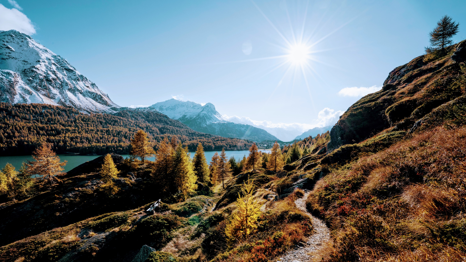 Обои природа, спасибо за праздник, растение, гора, экорегион в разрешении 1920x1080