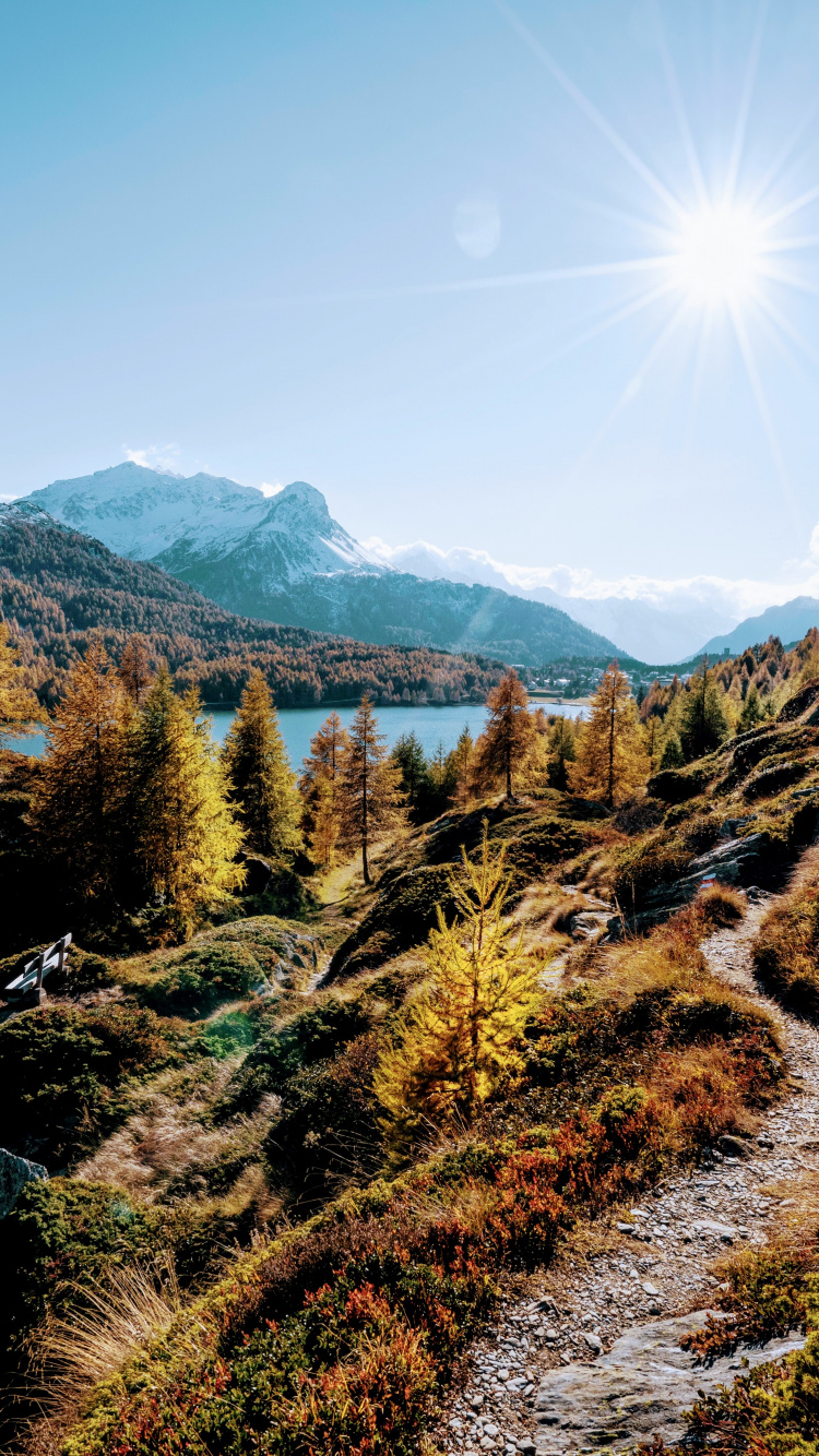 Обои природа, спасибо за праздник, растение, гора, экорегион в разрешении 750x1334