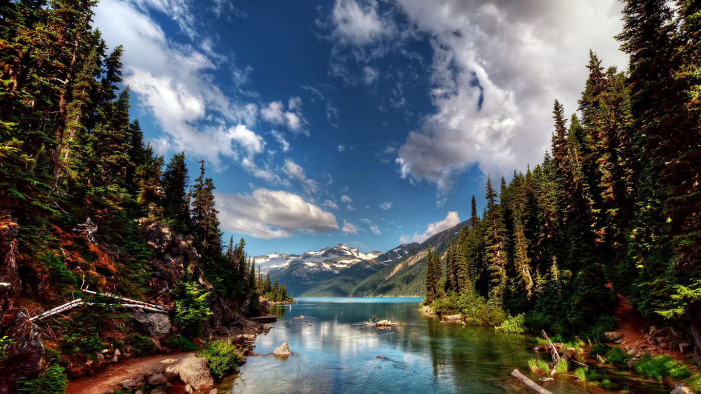 Обои национальный парк, йосемитский национальный парк, парк, природа, гора в разрешении 1366x768