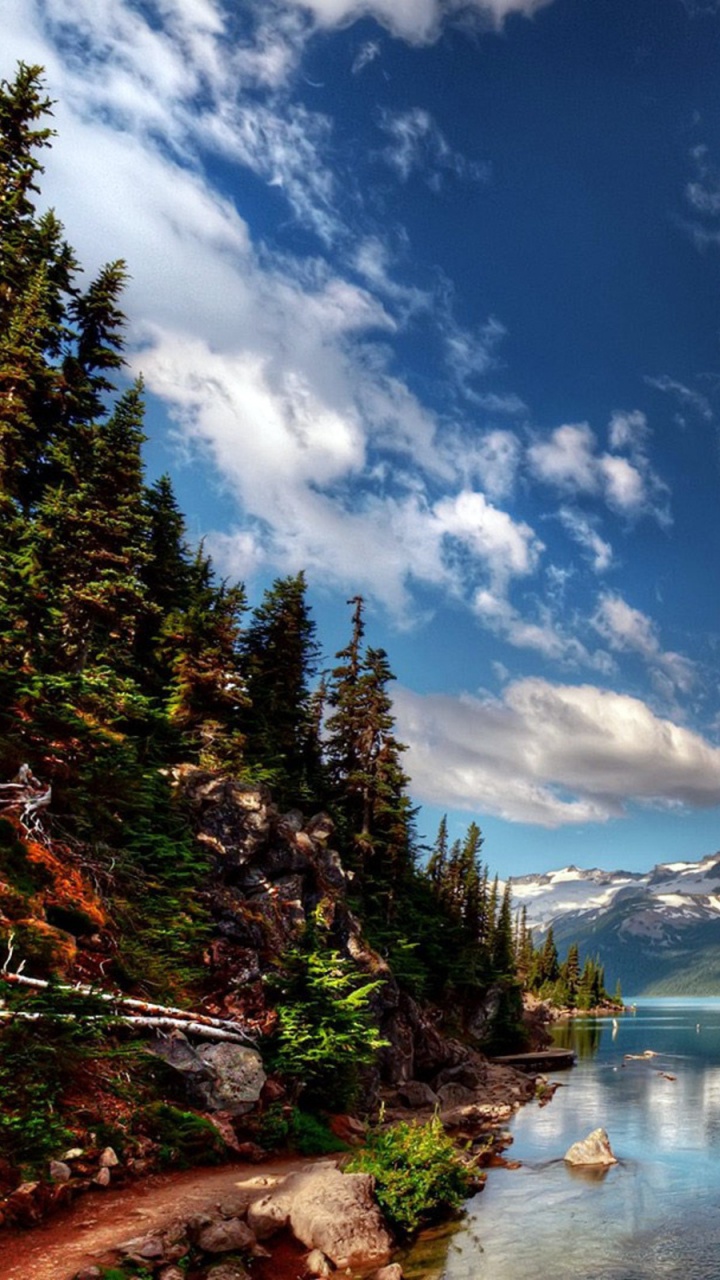 Обои национальный парк, йосемитский национальный парк, парк, природа, гора в разрешении 720x1280