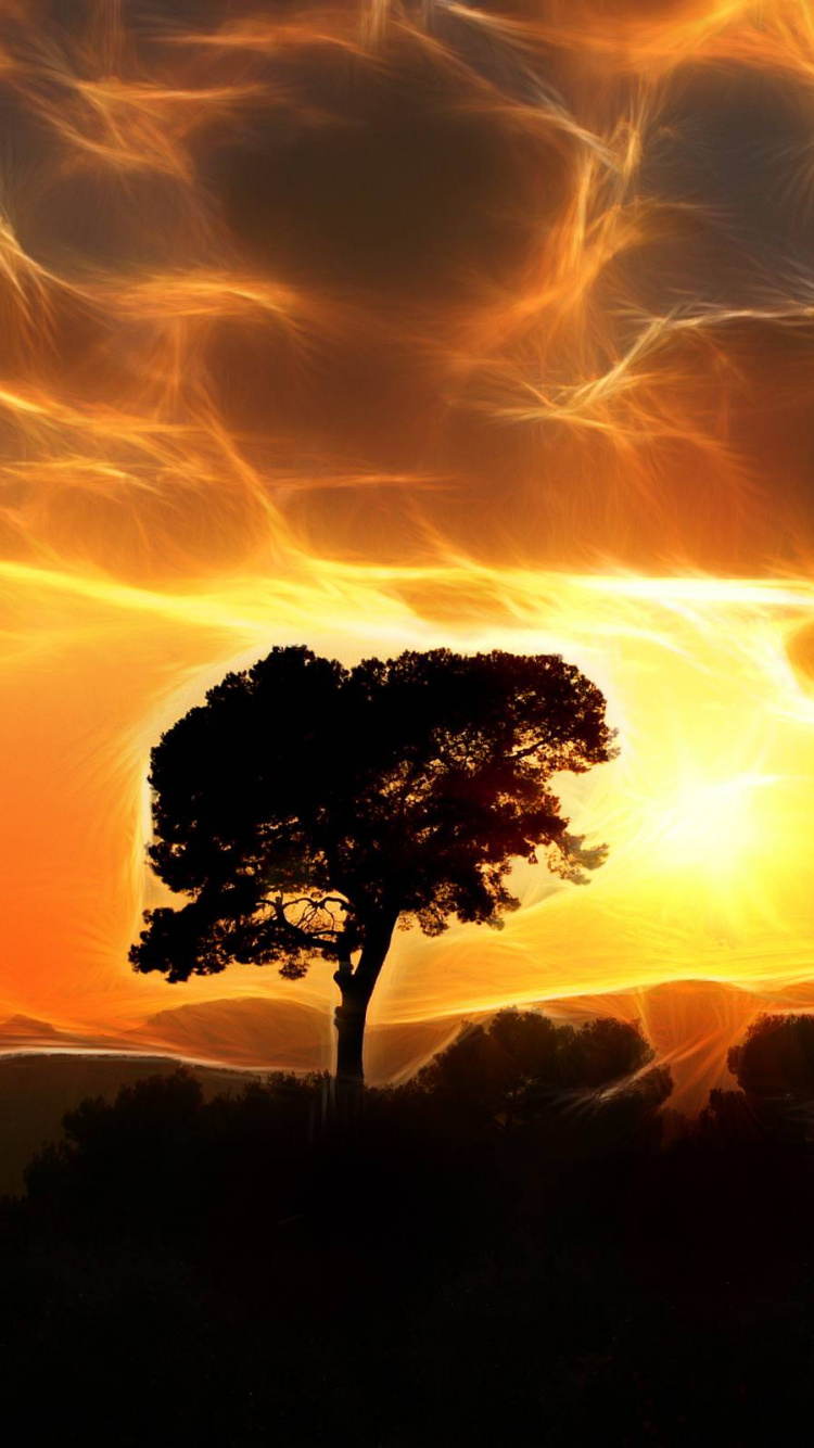 Обои африканское небо, закат, послесвечение, облако, горизонт в разрешении 750x1334