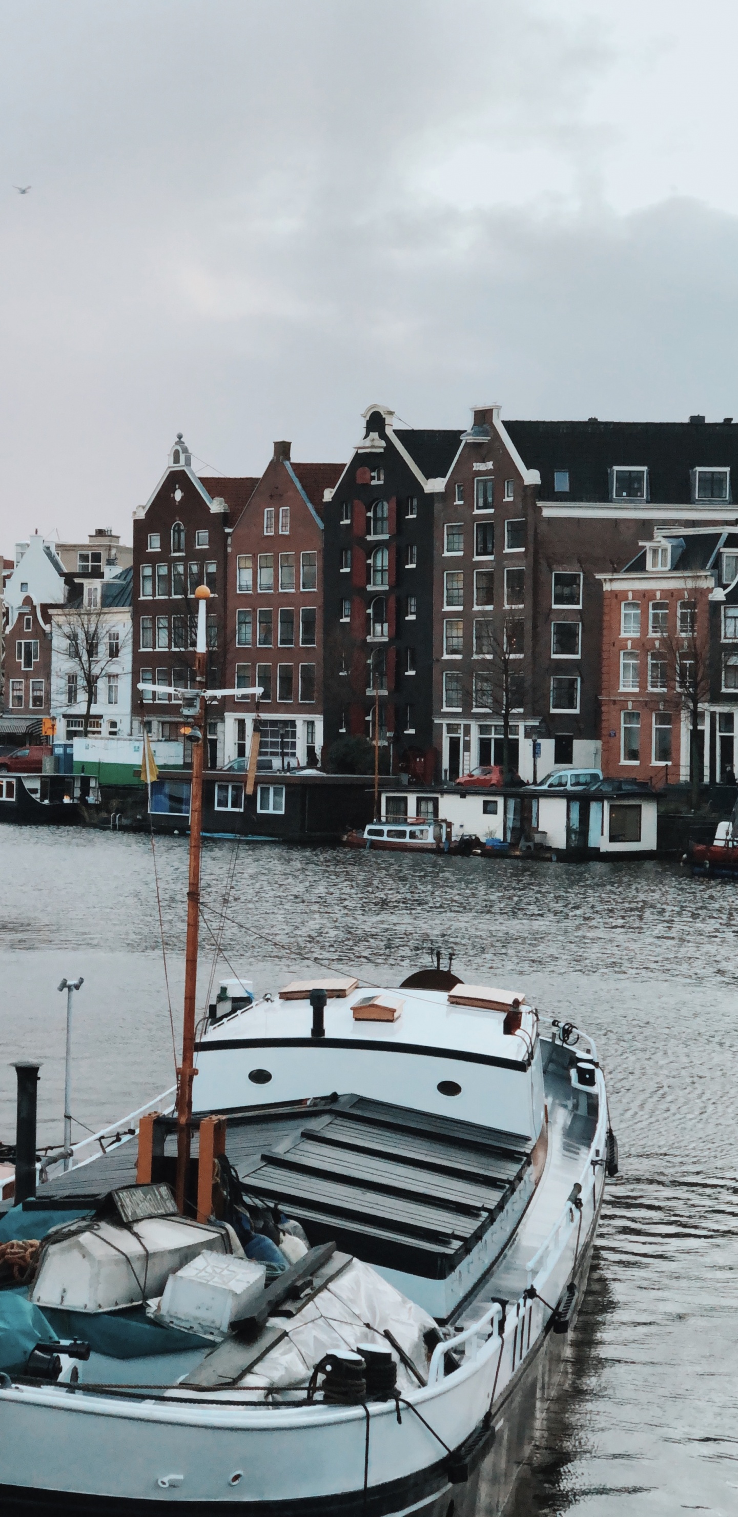 Обои вода, лодка, перевозка воды, катание на лодках, водоем в разрешении 1440x2960