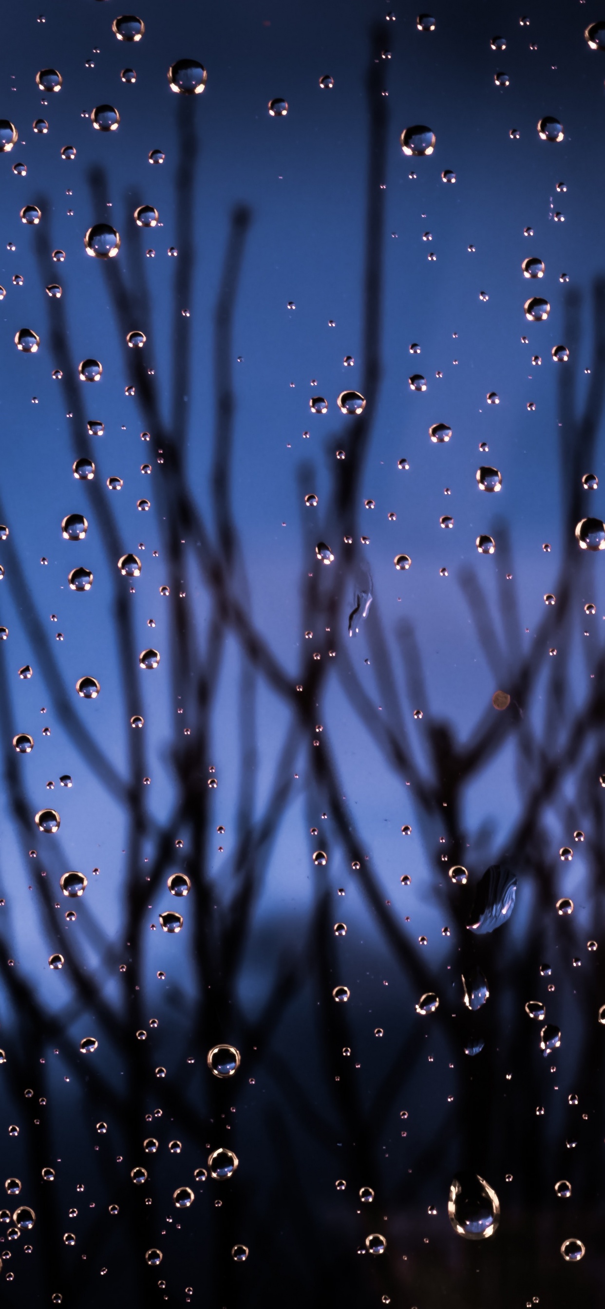 Обои синий, вода, влага, дождь, падение в разрешении 1242x2688