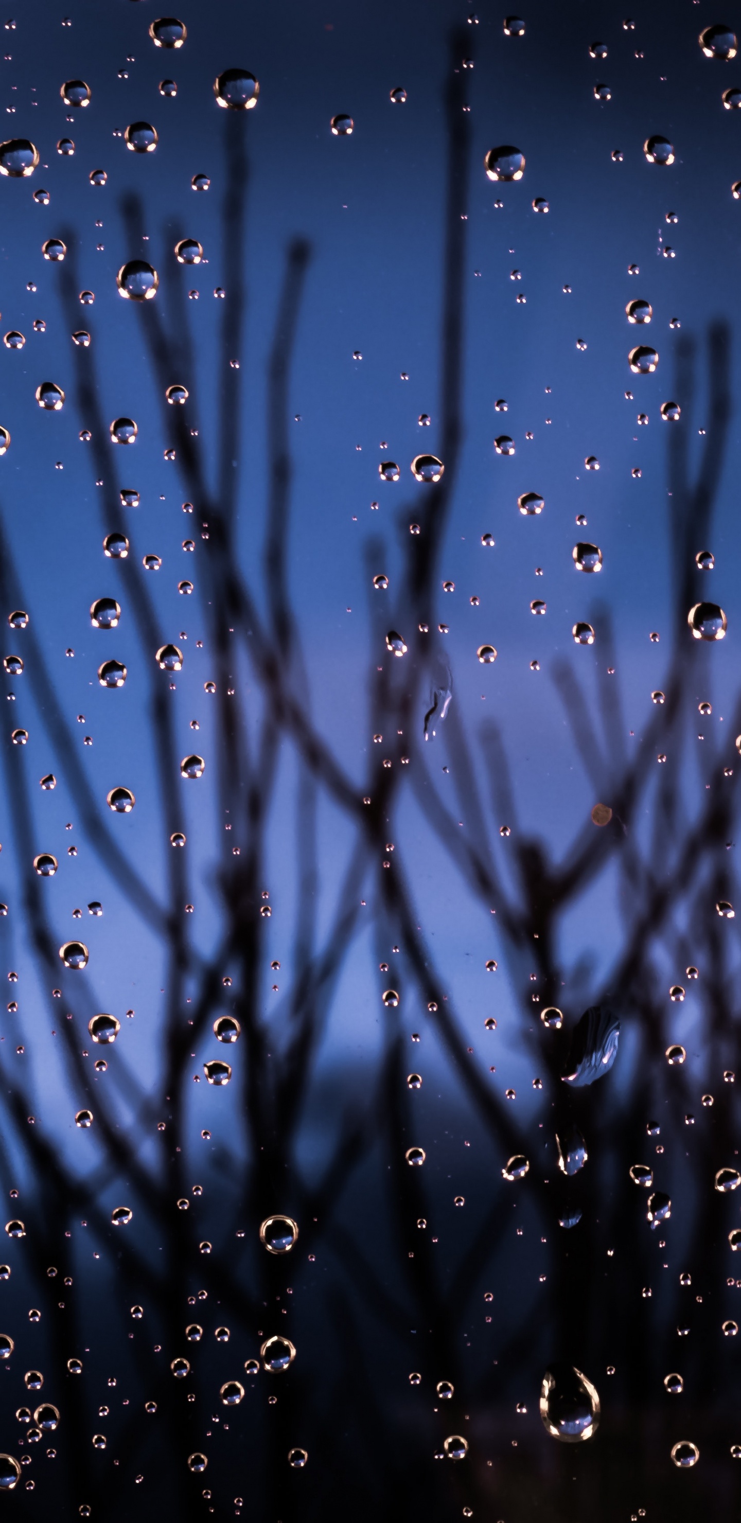 Обои синий, вода, влага, дождь, падение в разрешении 1440x2960