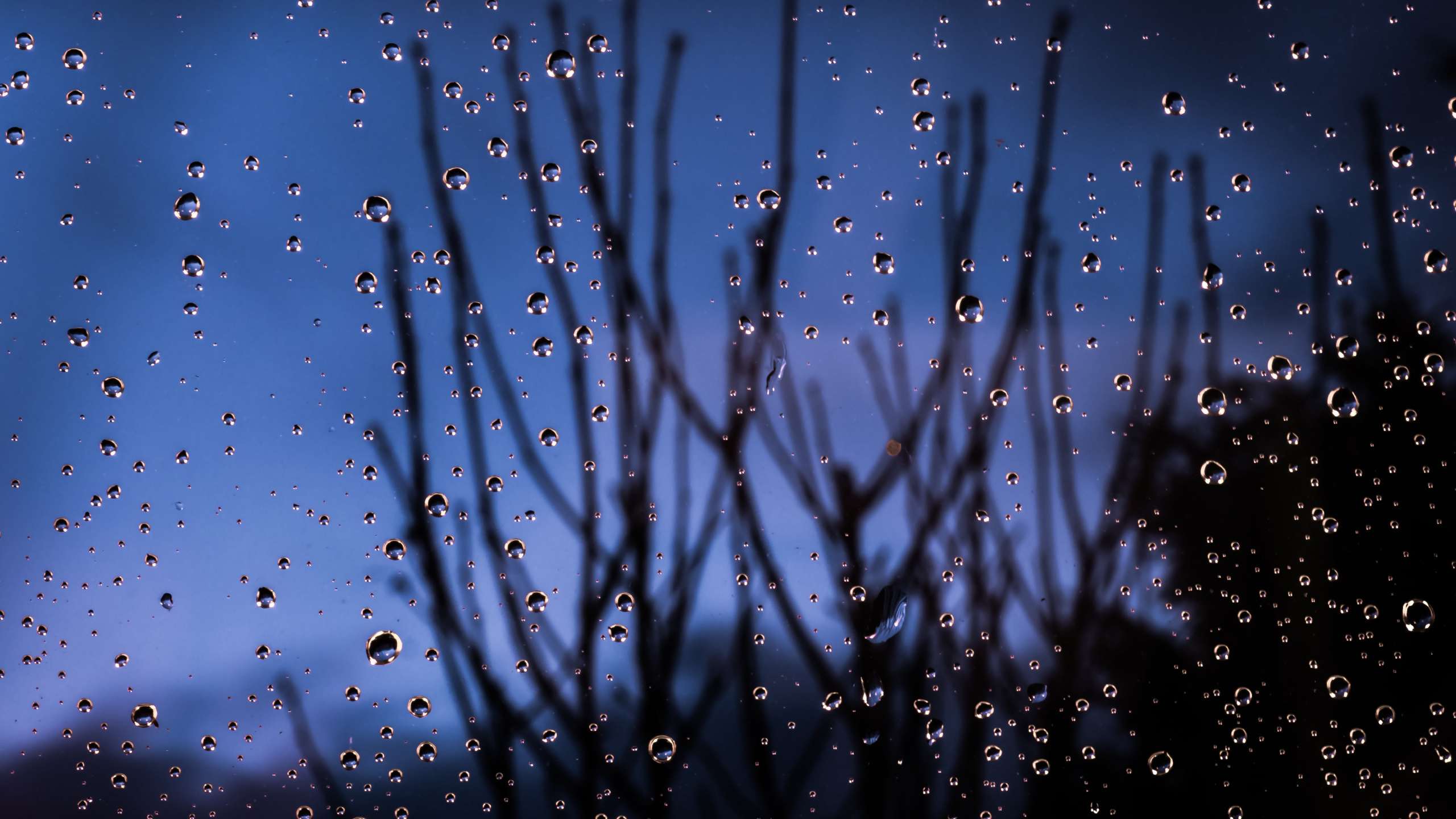 Обои синий, вода, влага, дождь, падение в разрешении 2560x1440