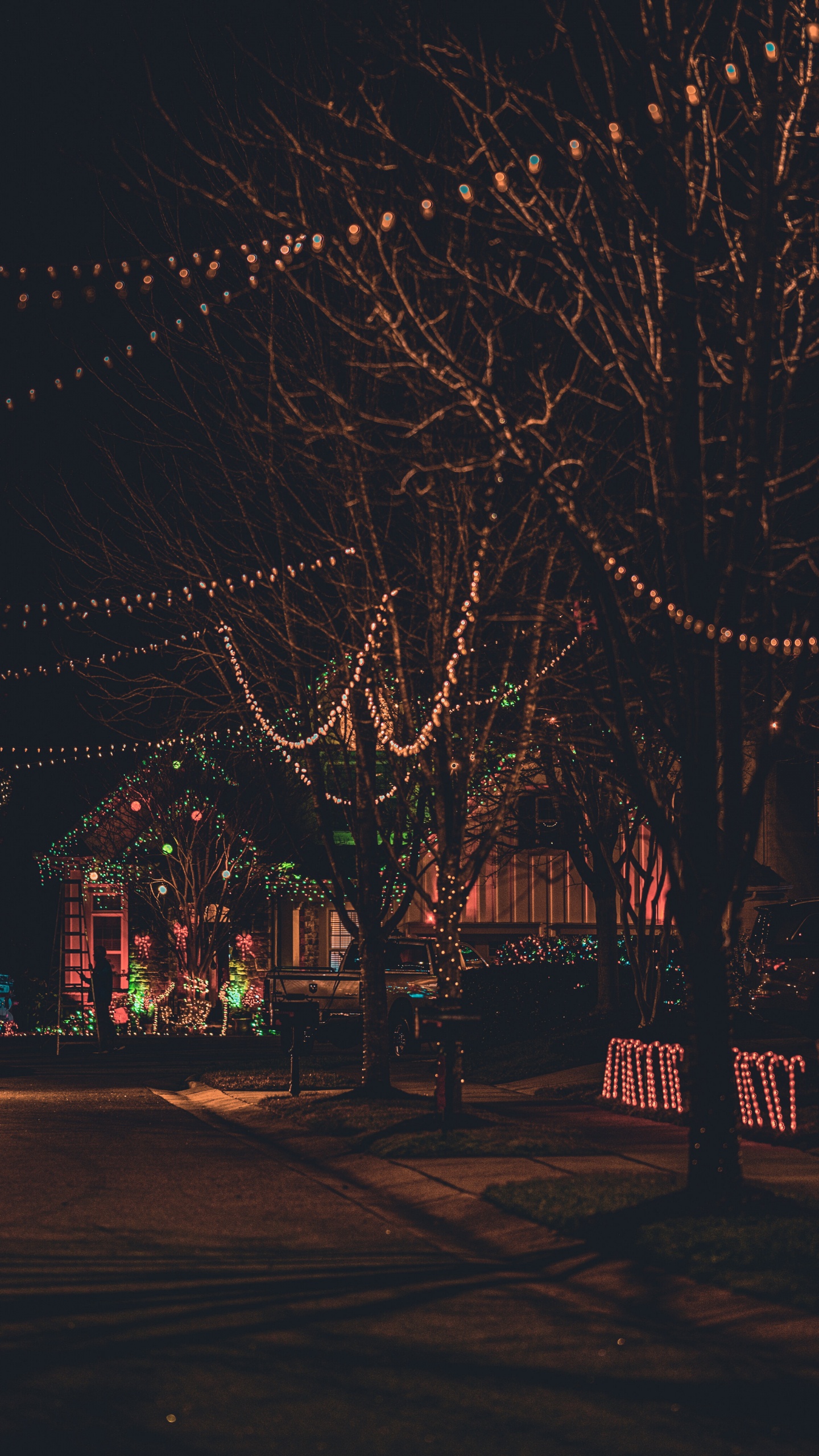 Обои Рождественские огни, гирлянда, уличный фонарь, украшение, орнамент в разрешении 1440x2560