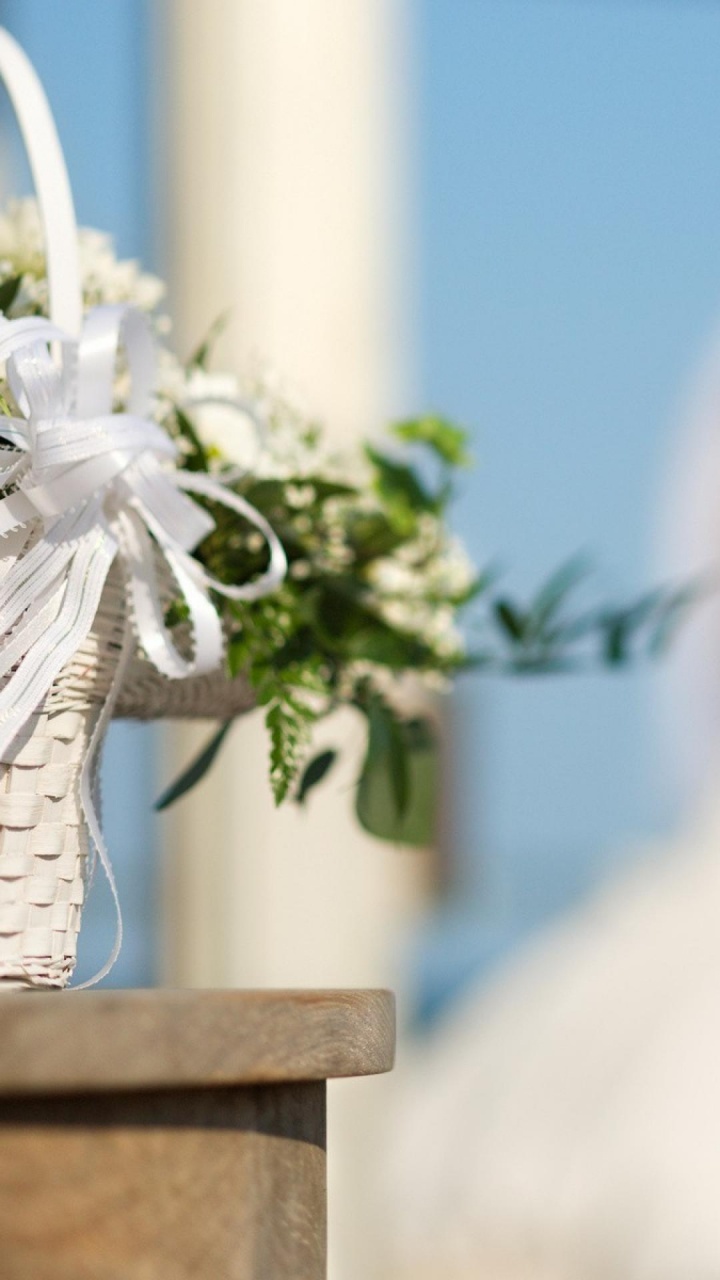 Обои свадьба, жених, свадебный прием, цветок, растение в разрешении 720x1280