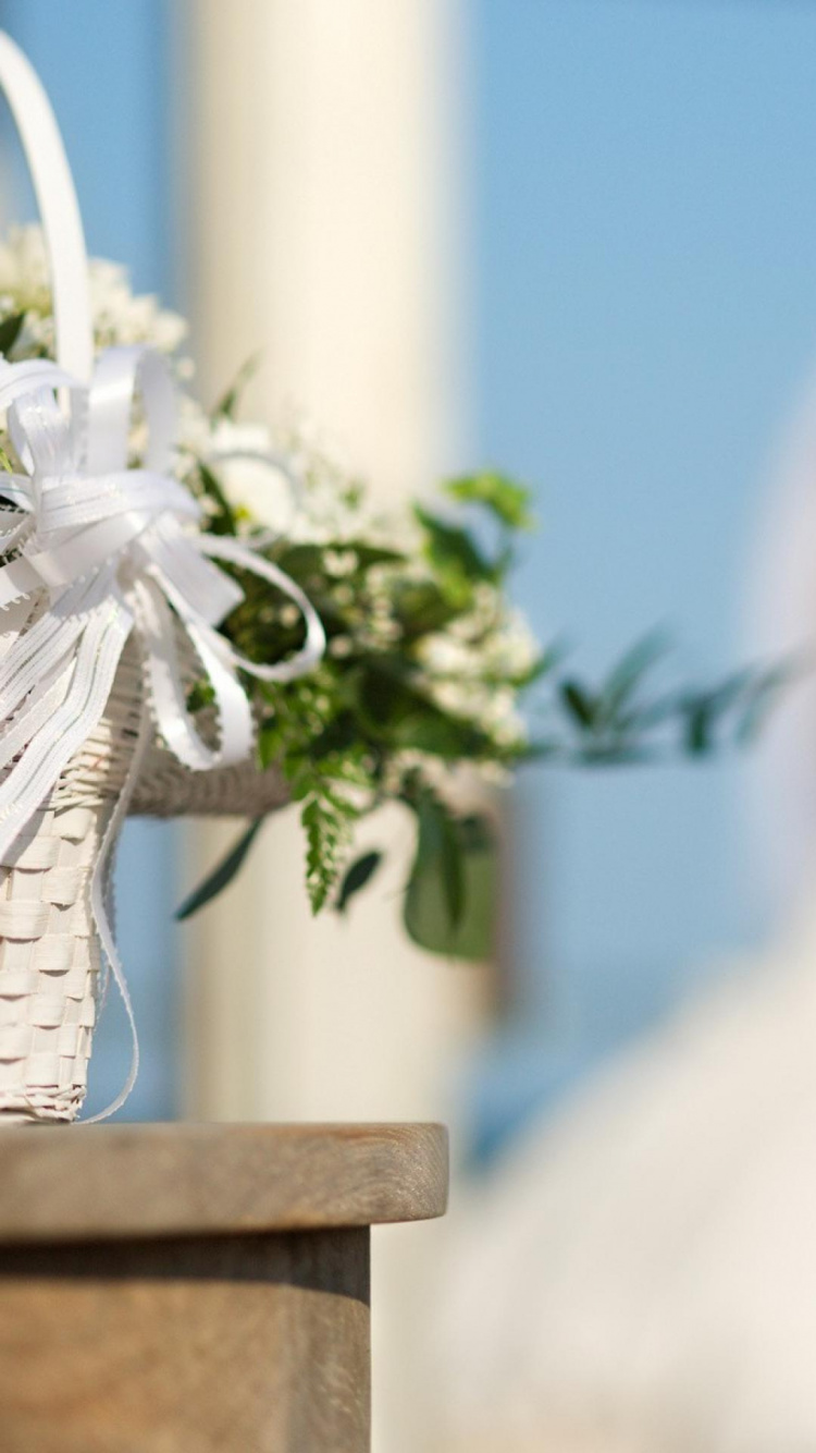 Обои свадьба, жених, свадебный прием, цветок, растение в разрешении 750x1334