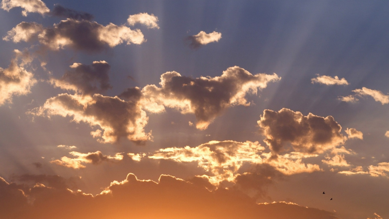 Обои облако, кучевое облако, солнечный свет, послесвечение, утро в разрешении 1280x720