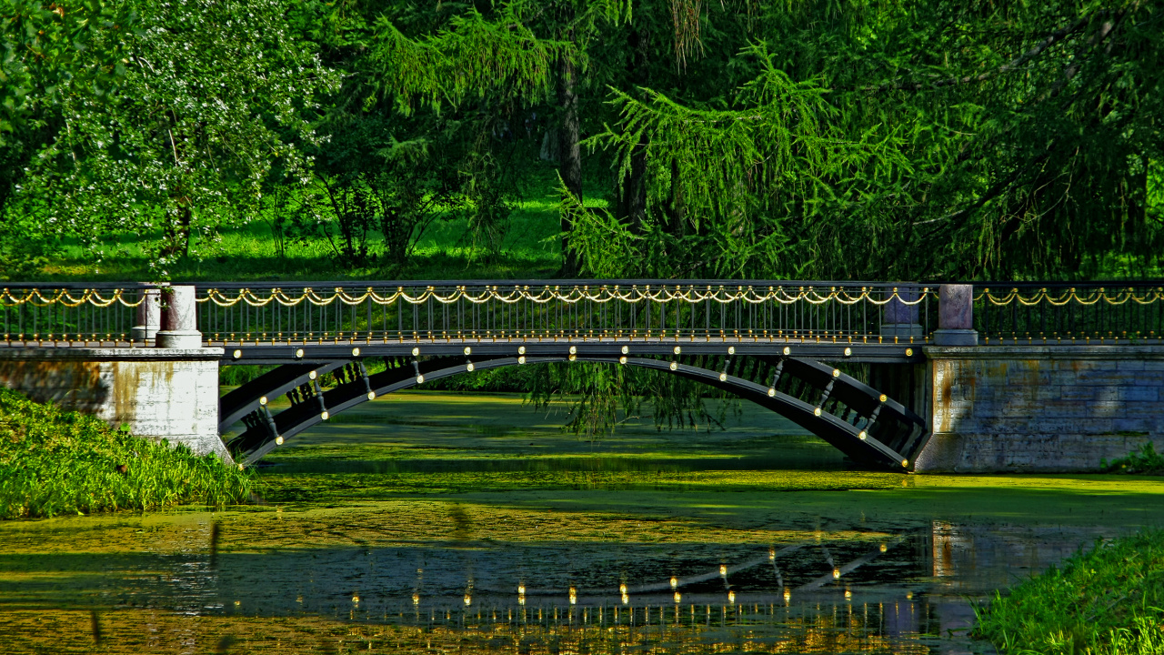 Обои природа, Санкт Петербург, парк, мост, зеленый в разрешении 1280x720