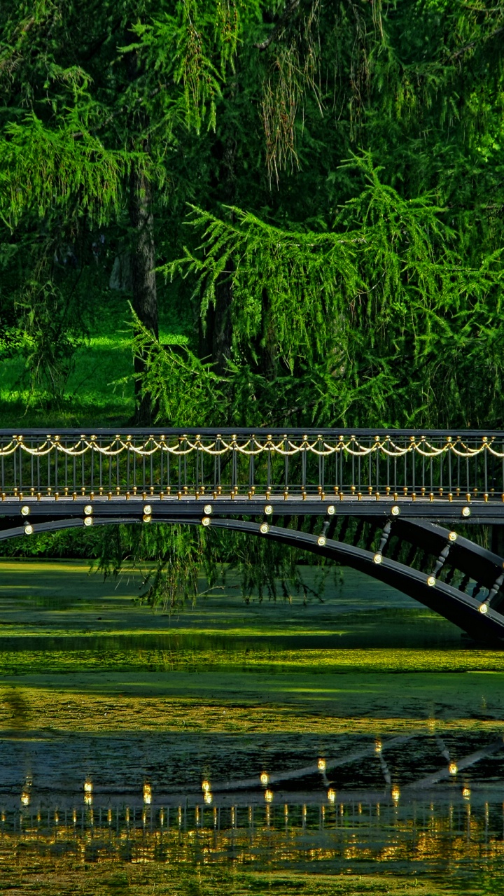 Обои природа, Санкт Петербург, парк, мост, зеленый в разрешении 720x1280