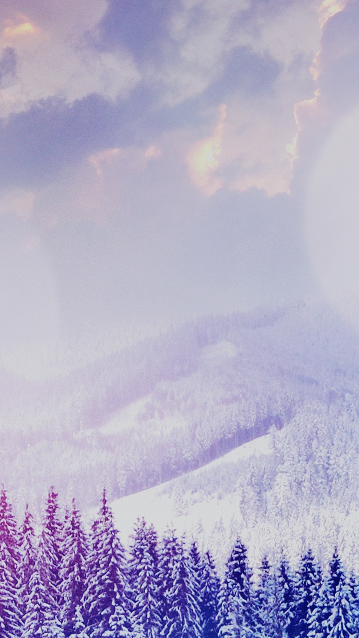 Обои облако, атмосфера, синий, природный ландшафт, растение в разрешении 720x1280