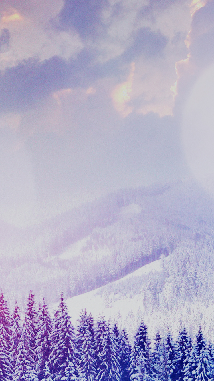 Обои облако, атмосфера, синий, природный ландшафт, растение в разрешении 750x1334