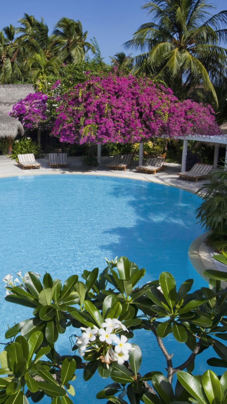 Обои прибежище, плавательный бассейн, пляж, вилла, свойство в разрешении 750x1334