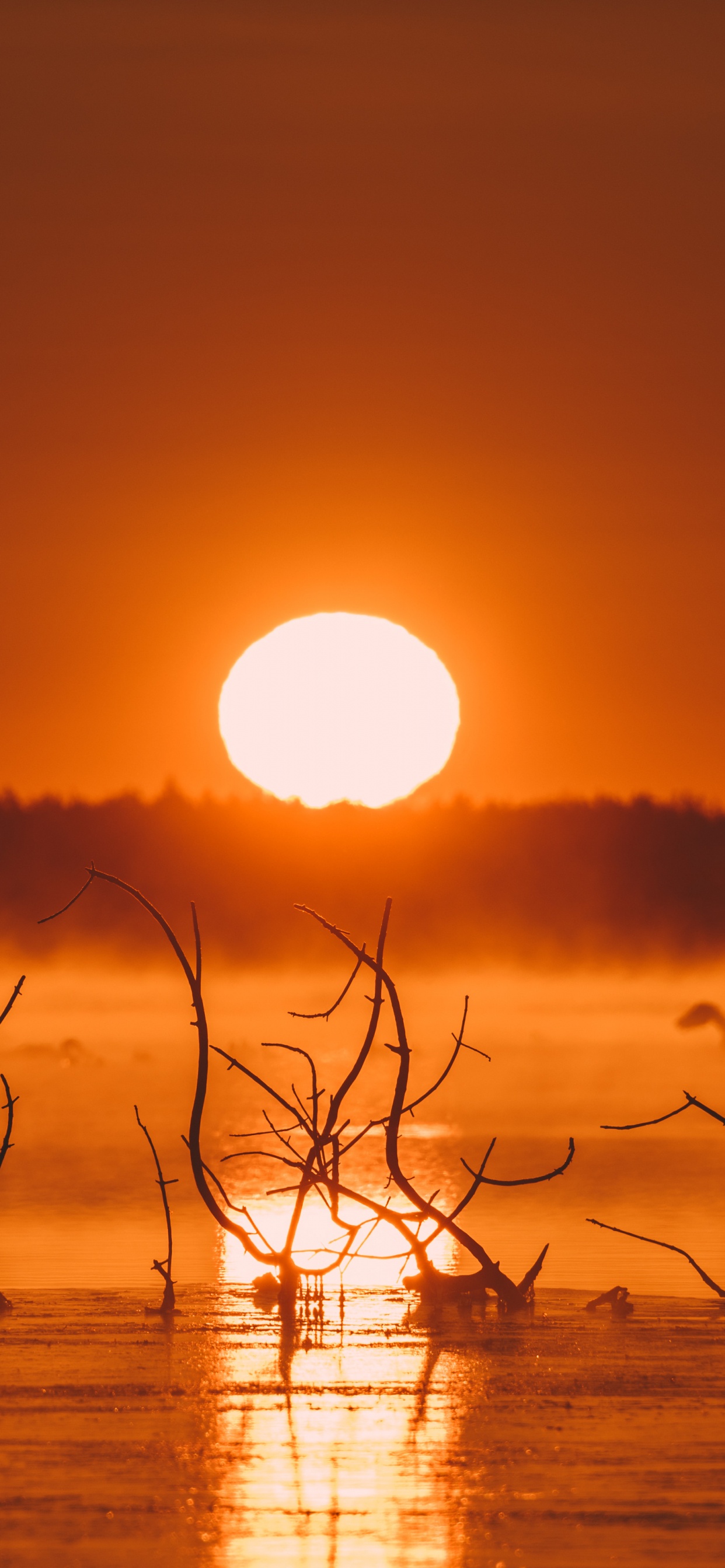 Обои iMac, вода, атмосфера, экорегион, послесвечение в разрешении 1242x2688