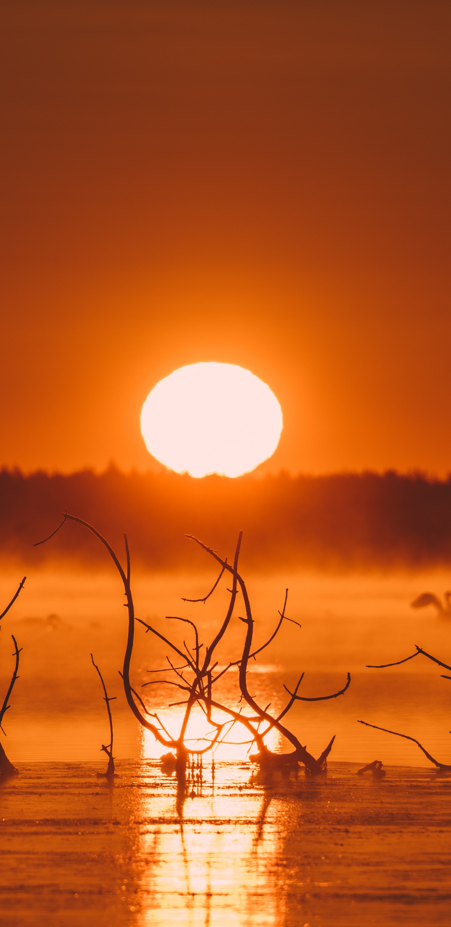 Обои iMac, вода, атмосфера, экорегион, послесвечение в разрешении 1440x2960