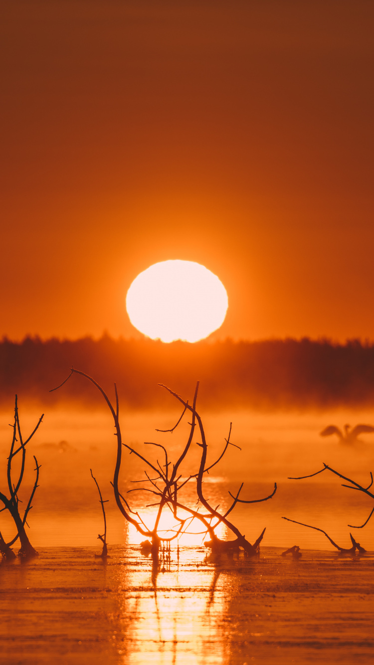 Обои iMac, вода, атмосфера, экорегион, послесвечение в разрешении 750x1334