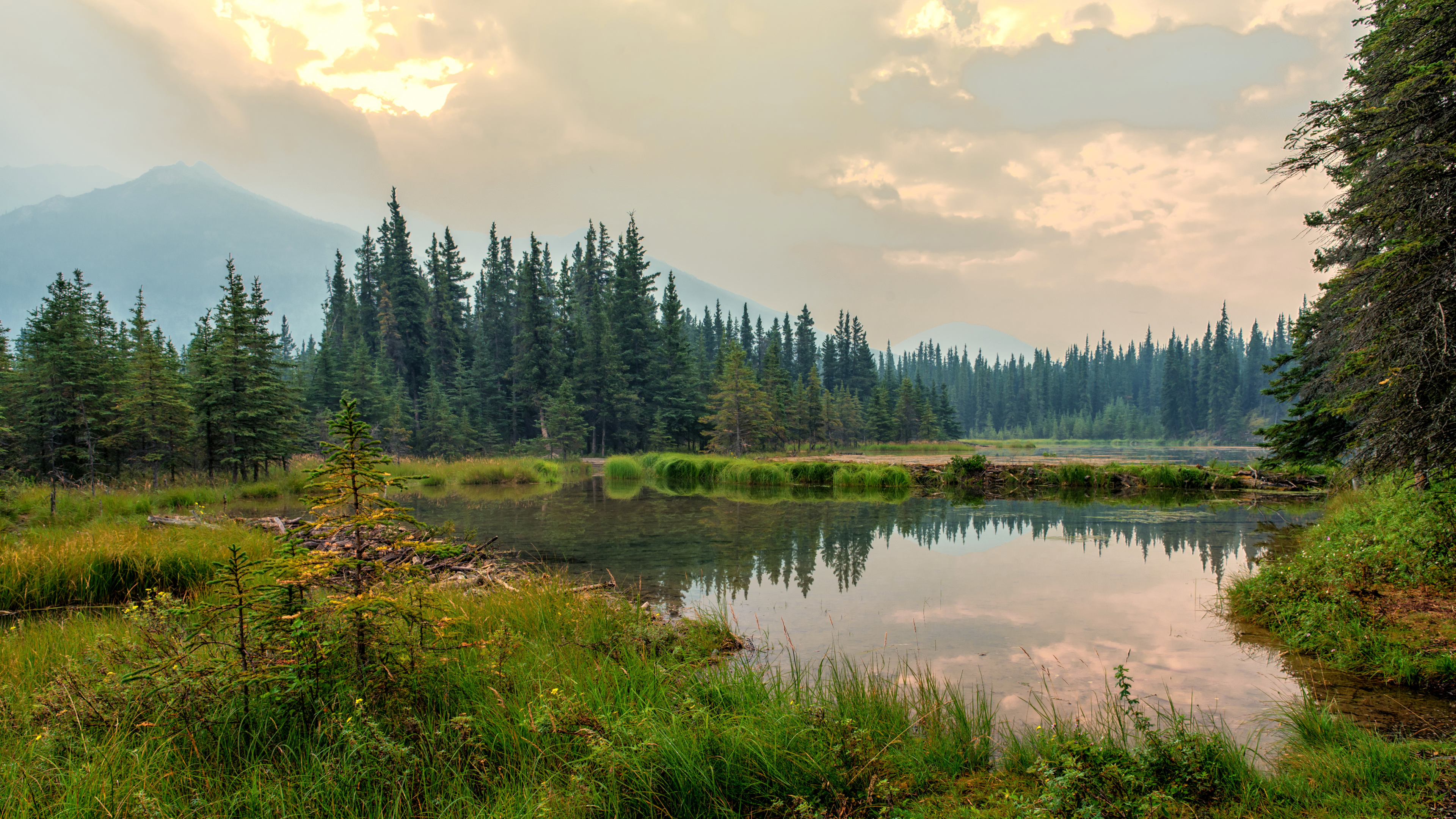 Обои денали, парк, природа, дикая местность, отражение в разрешении 3840x2160