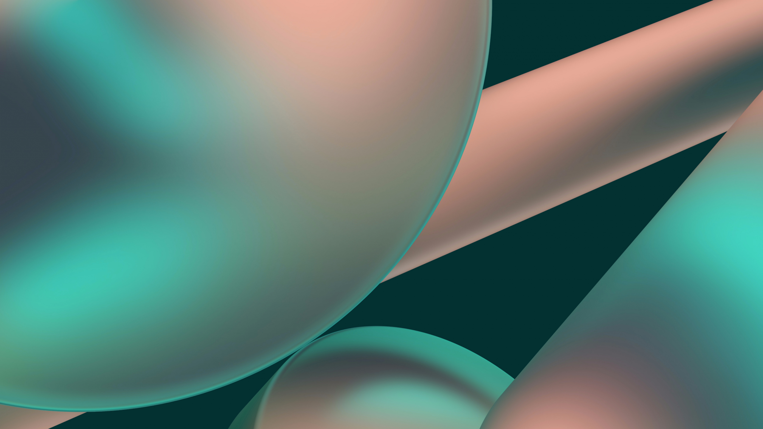 Обои Google, Google Chrome, Chrome OS, Chrome OS 2020, крупный план в разрешении 2560x1440