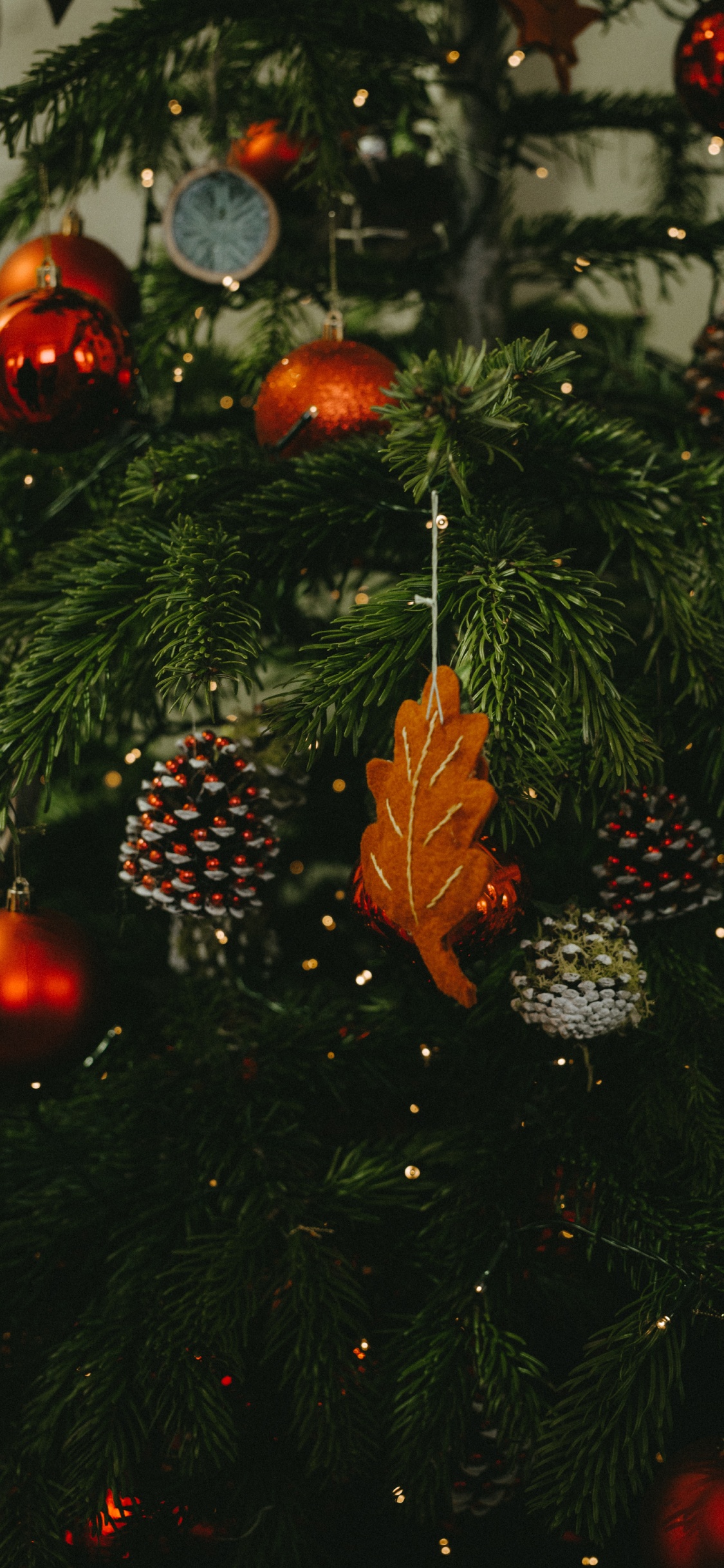 Обои Орегонской сосны, Рождественский подарок, вечнозеленое растение, растение, дерево в разрешении 1125x2436