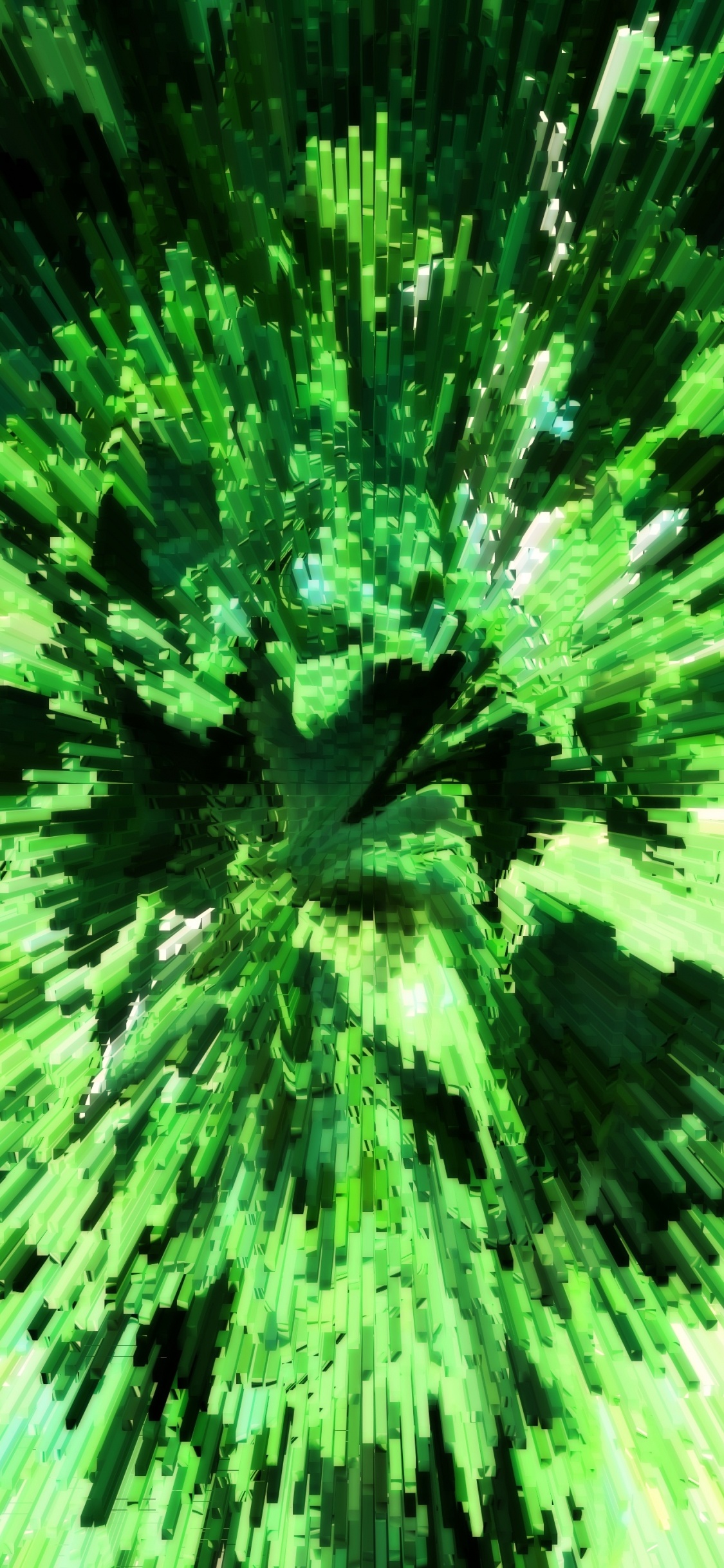 Обои зеленый, природа, лист, растение, ботаники в разрешении 1125x2436