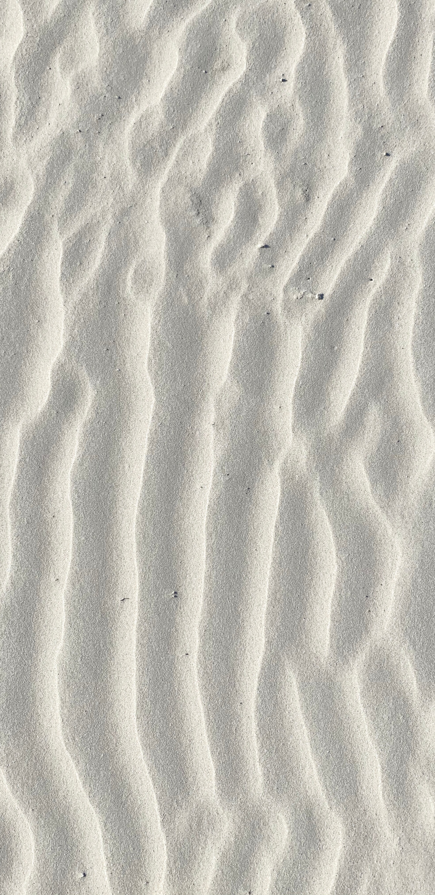 Обои песок, белые, окружающая среда, Дюна, эрг в разрешении 1440x2960