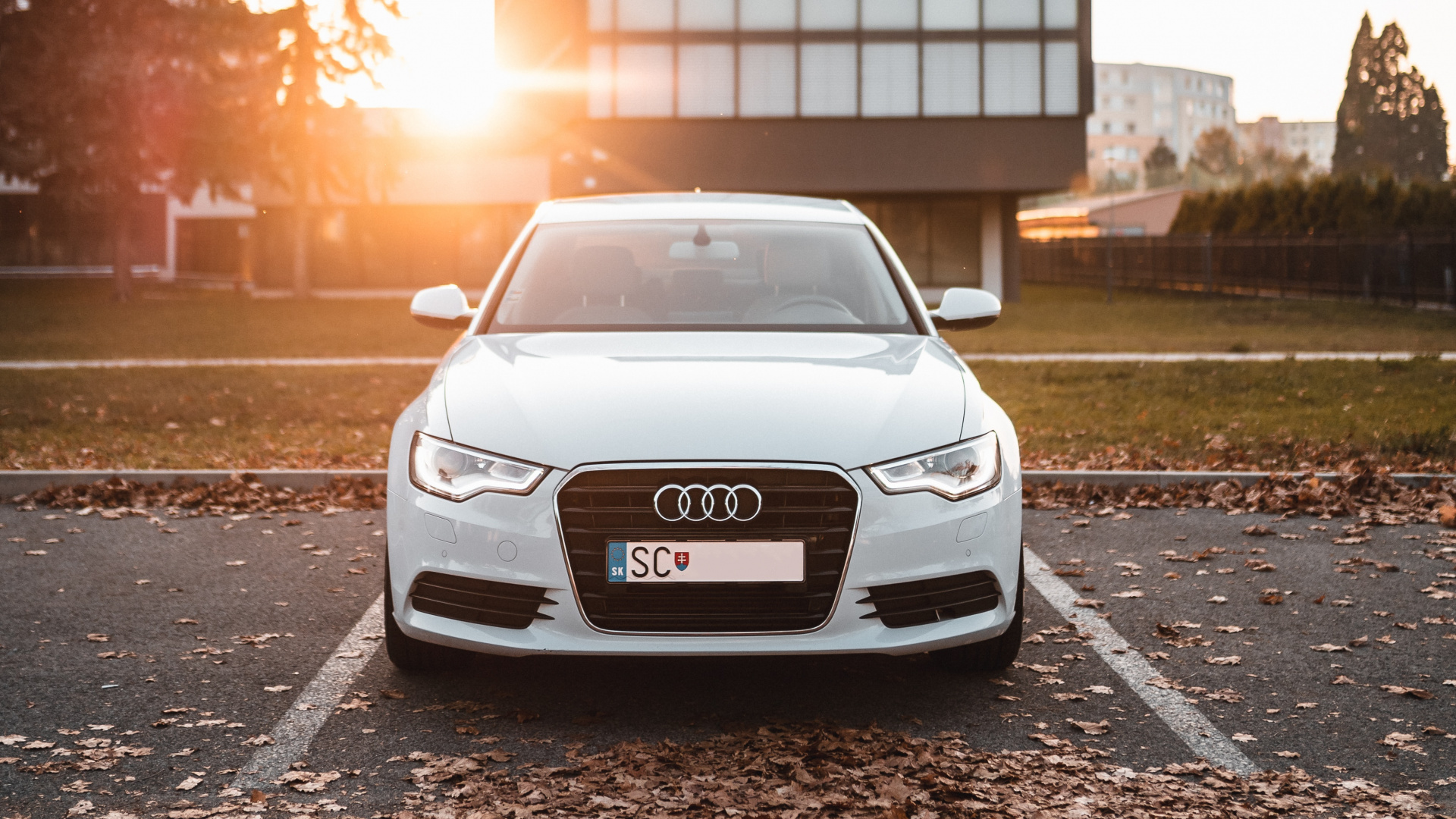 Обои колесо, audi, обод, транспорт, автомобиль среднего размера в разрешении 1920x1080