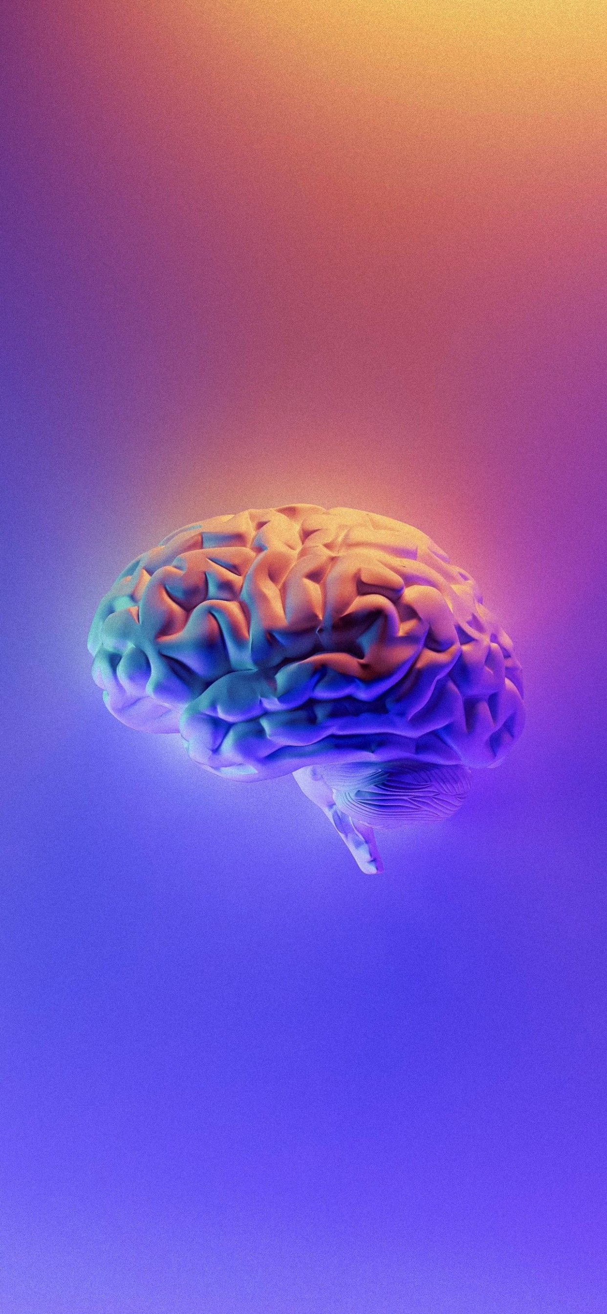 Обои книги ум, разум, книга, будущее разума, башмак в разрешении 1242x2688