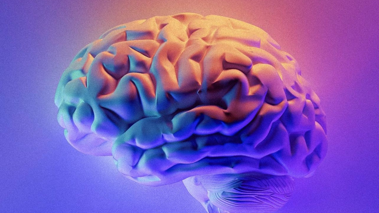 Обои книги ум, разум, книга, будущее разума, башмак в разрешении 1280x720