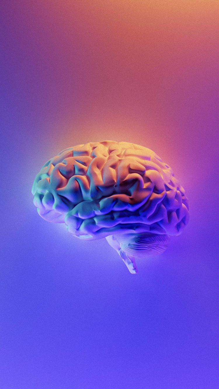 Обои книги ум, разум, книга, будущее разума, башмак в разрешении 750x1334