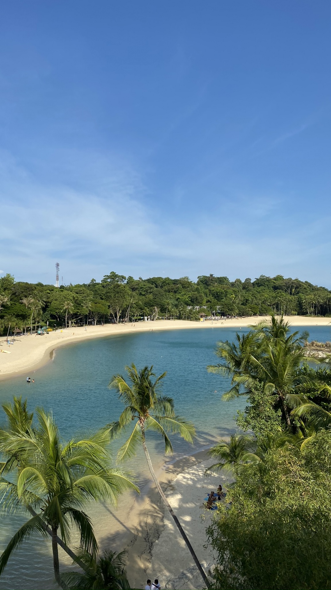 Обои водоем, берег, дерево, побережье, океан в разрешении 1080x1920