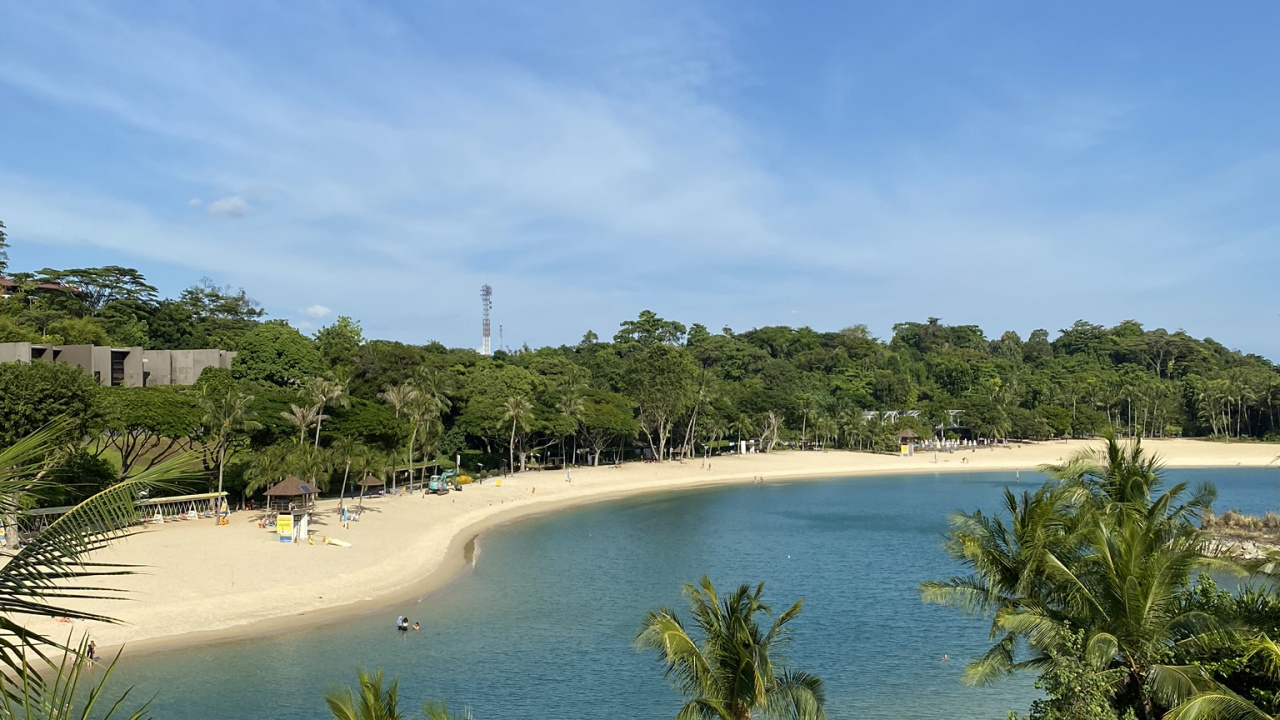 Обои водоем, берег, дерево, побережье, океан в разрешении 1280x720