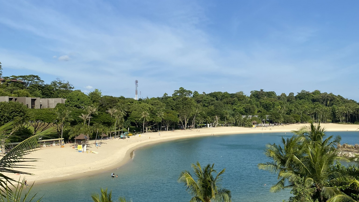 Обои водоем, берег, дерево, побережье, океан в разрешении 1366x768