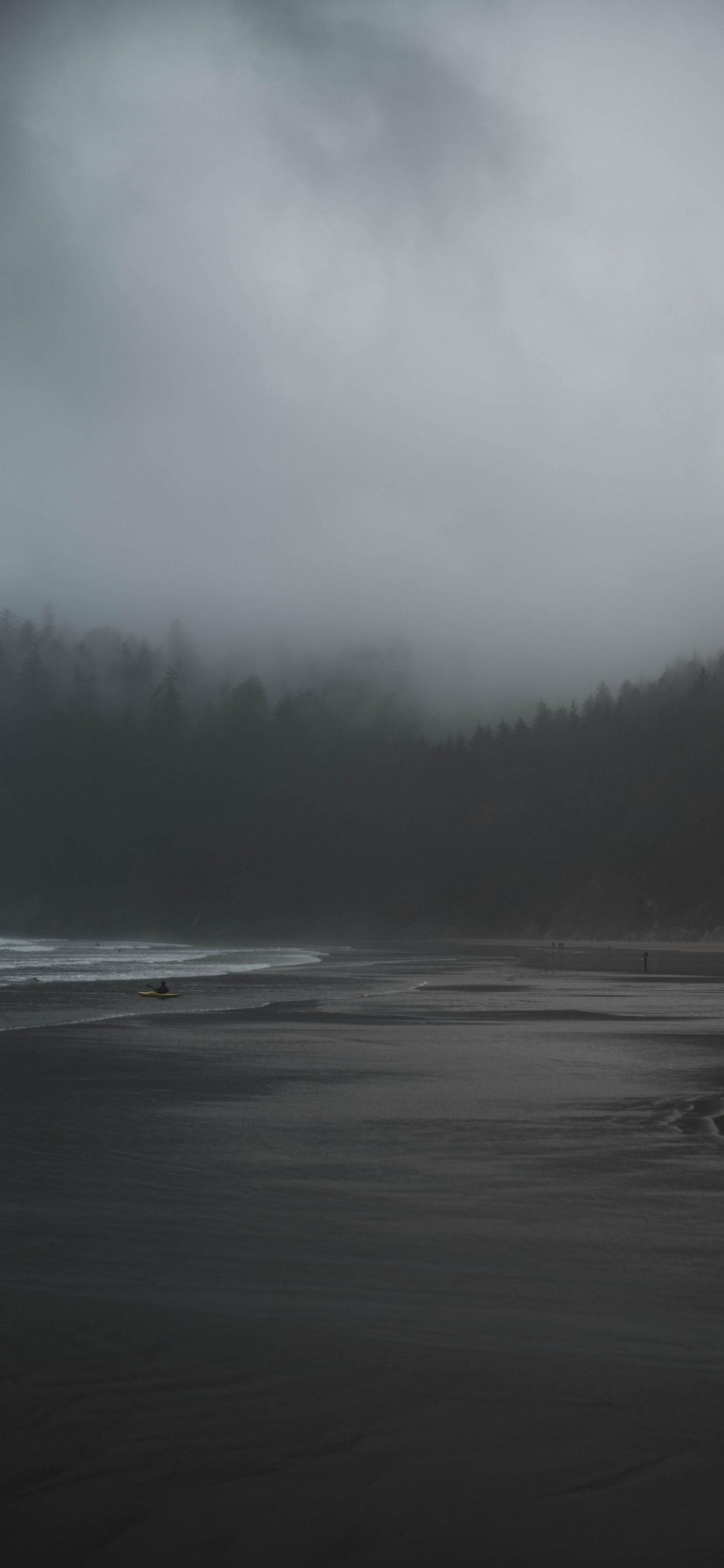 Обои мгла, туман, мороз, небо, атмосфера в разрешении 1242x2688