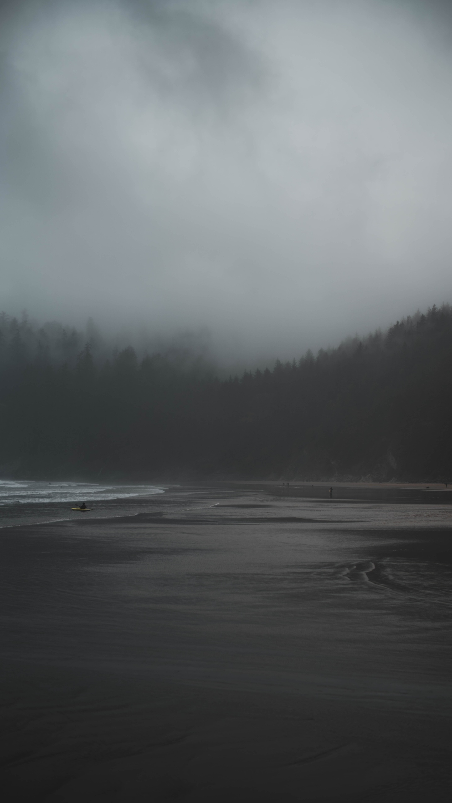 Обои мгла, туман, мороз, небо, атмосфера в разрешении 1440x2560