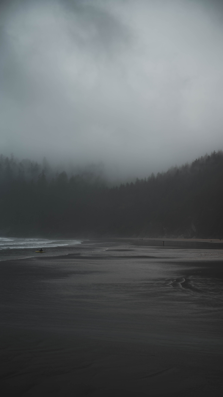 Обои мгла, туман, мороз, небо, атмосфера в разрешении 750x1334