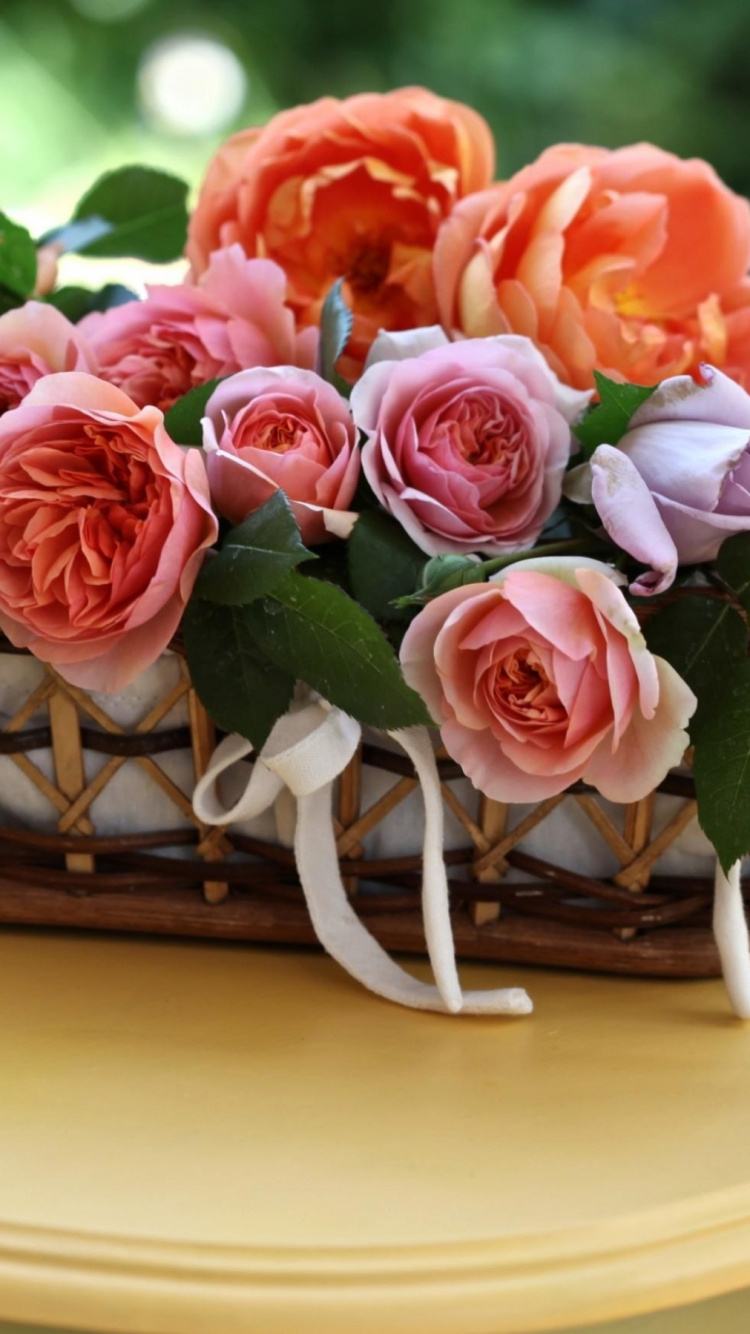 Обои таблица, цветочный букет, сад роз, растение, флористики в разрешении 750x1334