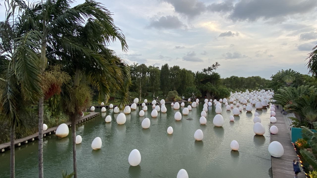 Обои водоем, водный путь, гидроресурсы, водохранилище, Пальма в разрешении 1280x720