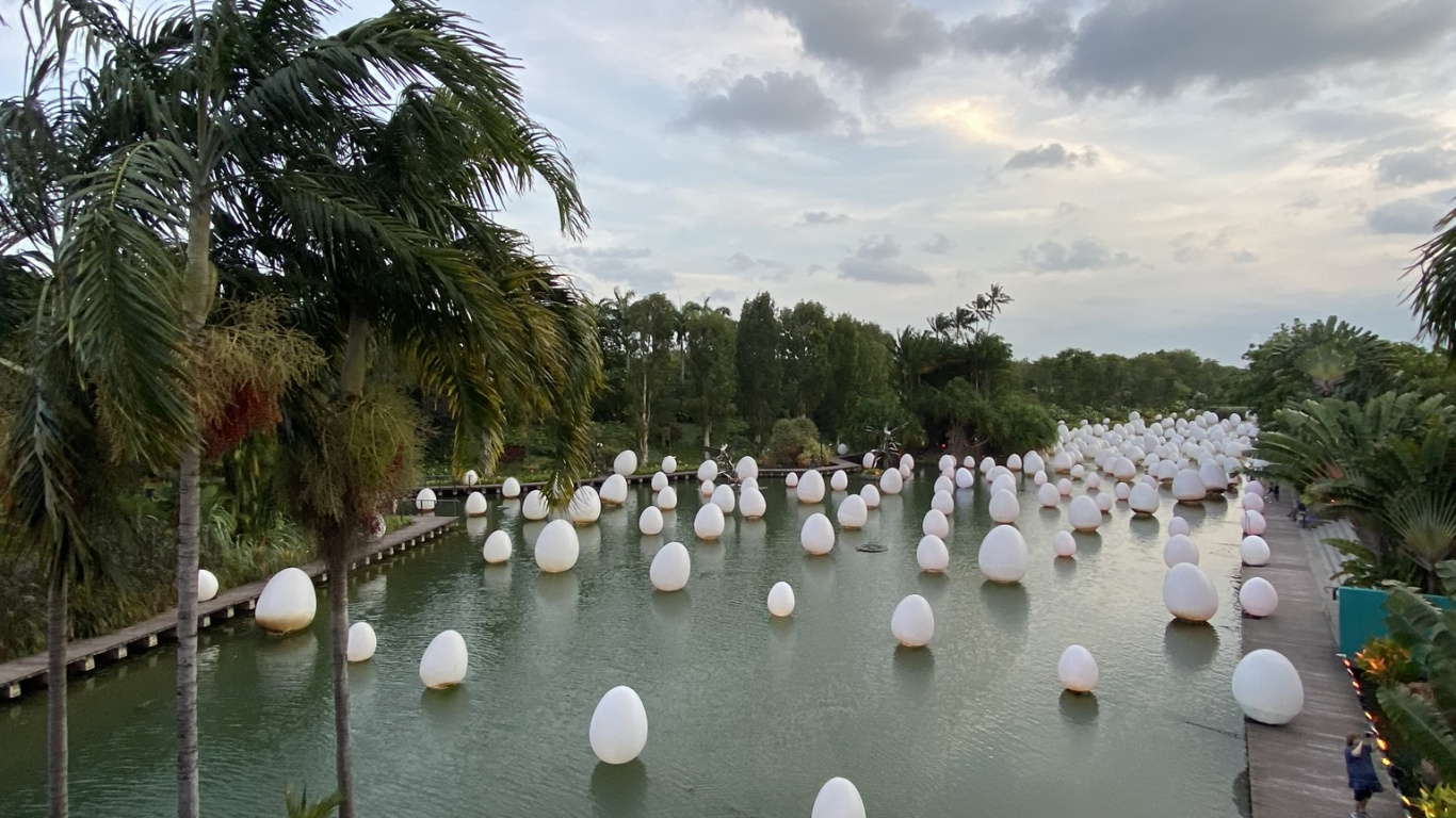 Обои водоем, водный путь, гидроресурсы, водохранилище, Пальма в разрешении 1366x768