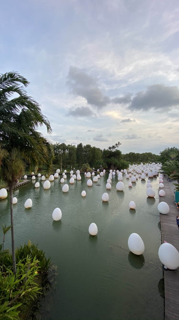 Обои водоем, водный путь, гидроресурсы, водохранилище, Пальма в разрешении 750x1334