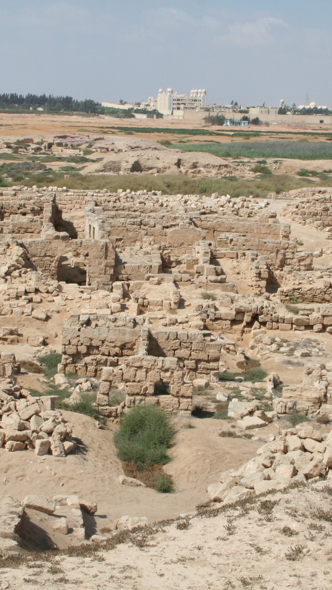 Обои археологический памятник, почва, историческое место, древняя история, геология в разрешении 1080x1920