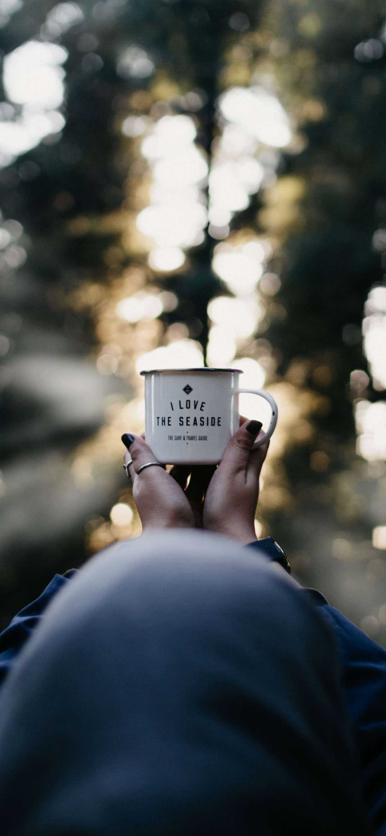 Обои дерево, свет, лист, солнечный свет, растение в разрешении 1242x2688