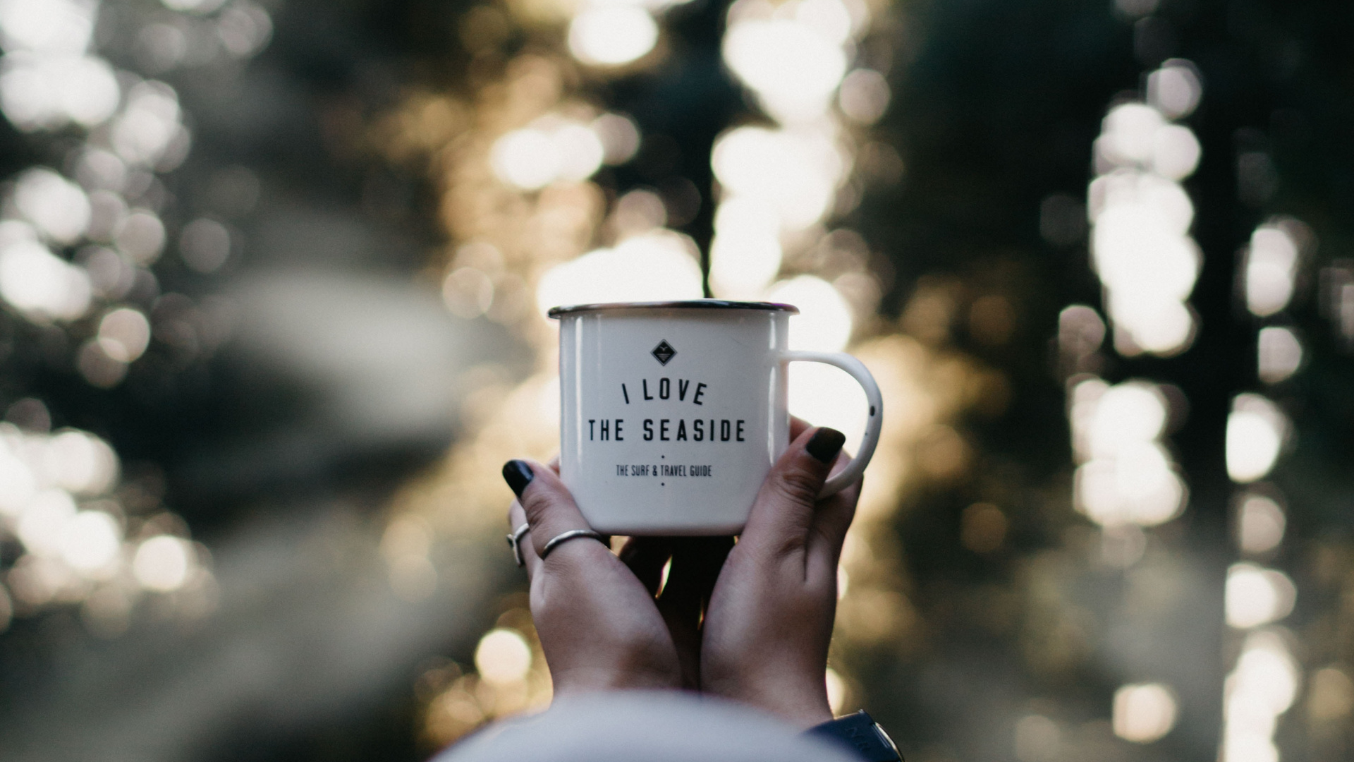 Обои дерево, свет, лист, солнечный свет, растение в разрешении 1920x1080