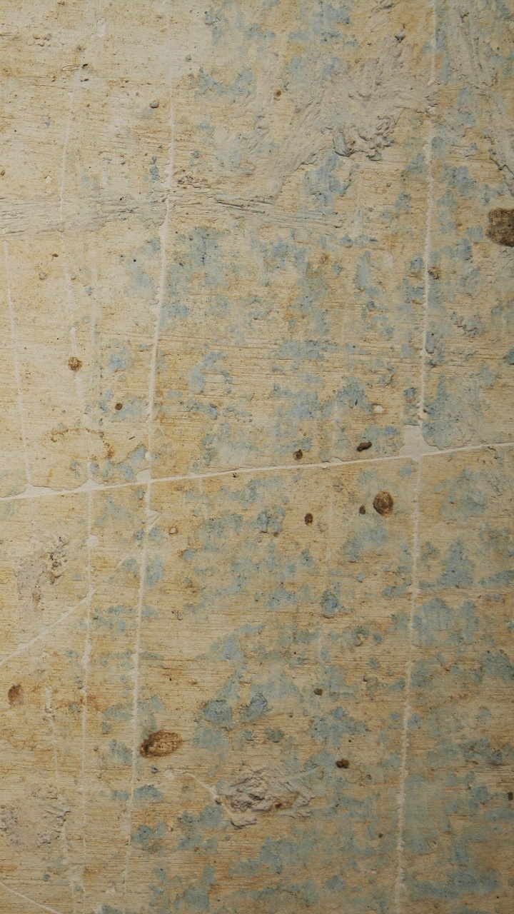 Обои стена, бетон, древесина, текстура, краска в разрешении 720x1280