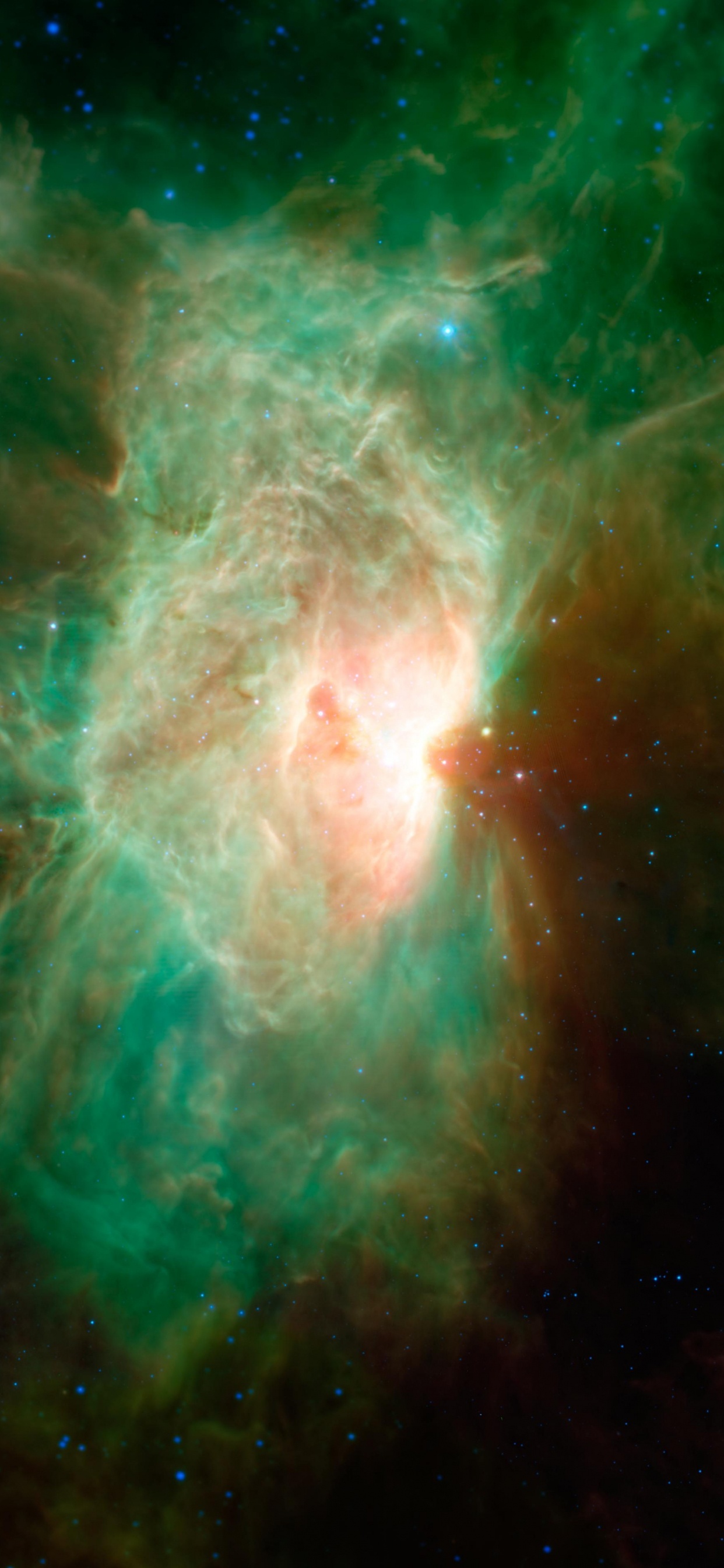 Обои Пламя Туманности, туманность, Туманность Конская Голова, Молекулярное Облако Орион Комплекса, Орион в разрешении 1242x2688