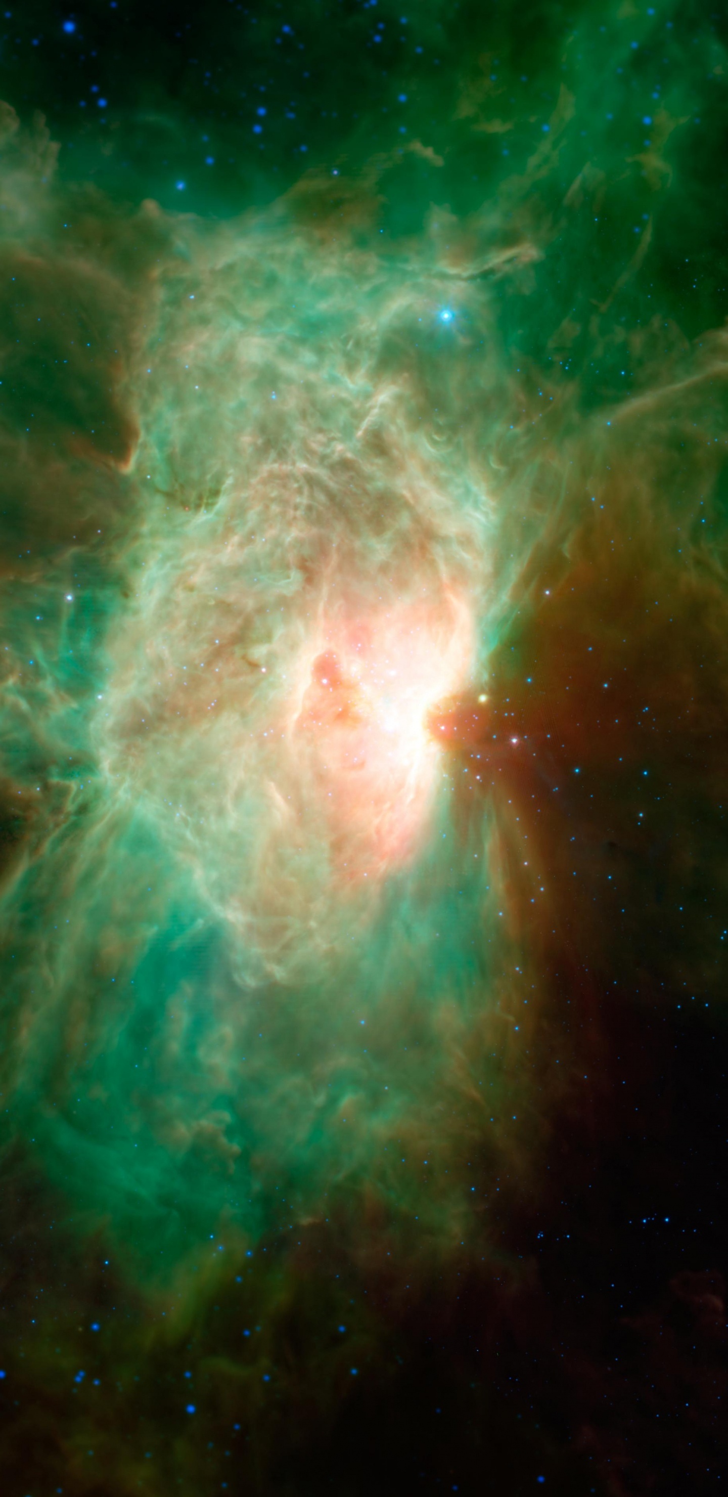 Обои Пламя Туманности, туманность, Туманность Конская Голова, Молекулярное Облако Орион Комплекса, Орион в разрешении 1440x2960