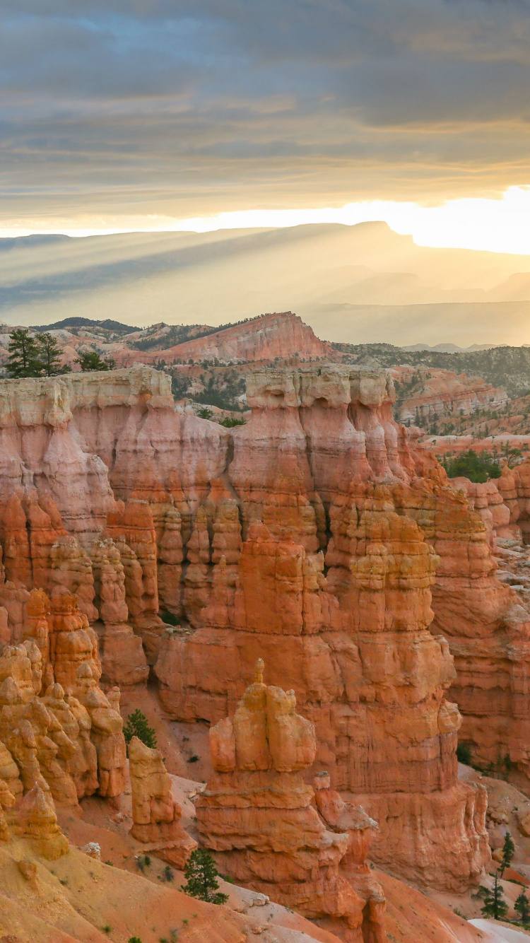 Обои национальный парк Брайсканьон, национальный парк Гранд каньон, национальный парк, каньон, парк в разрешении 750x1334