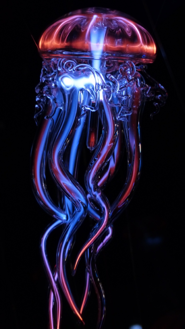 Обои свет, вода, cnidaria, Медуза, стекло в разрешении 720x1280