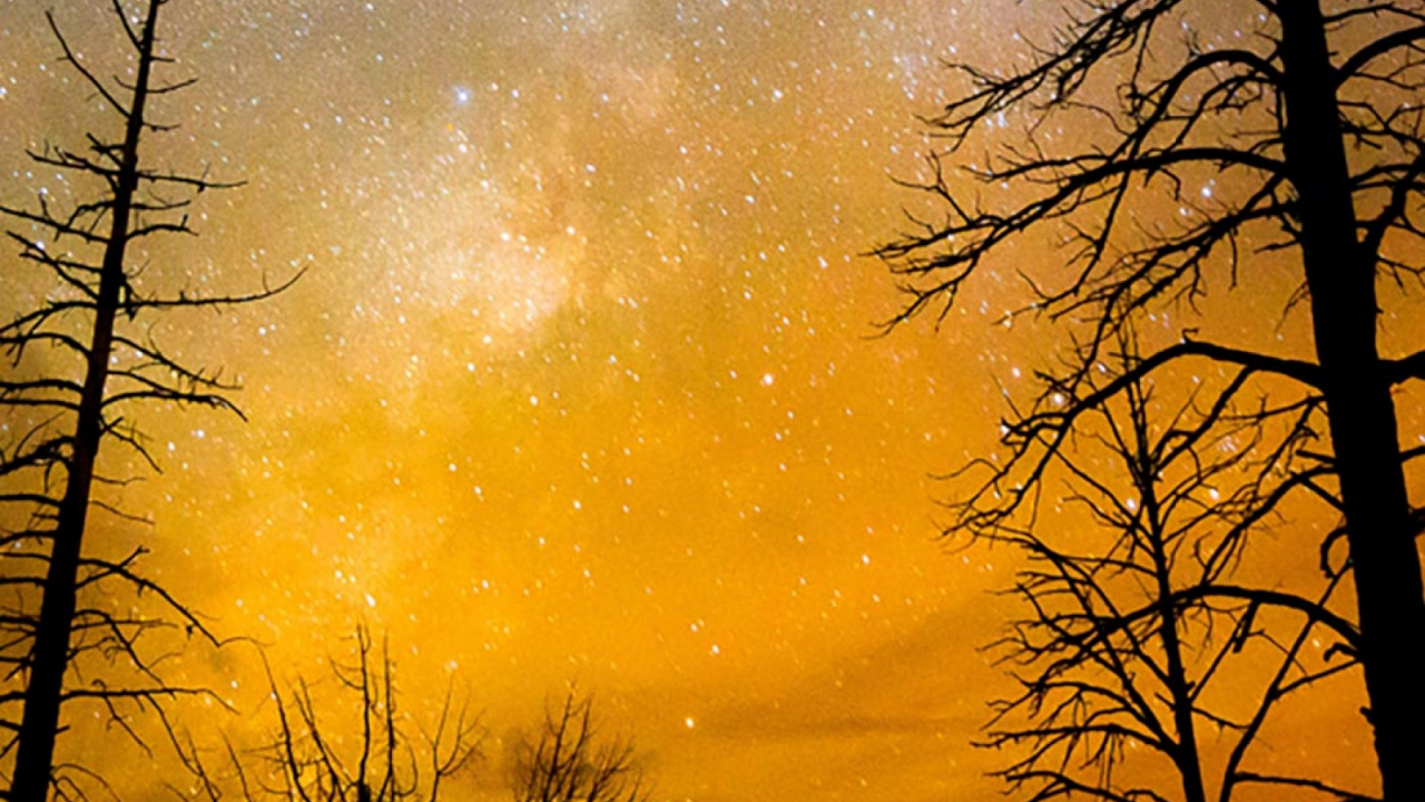 Обои природа, дерево, облако, атмосфера, природный ландшафт в разрешении 1280x720