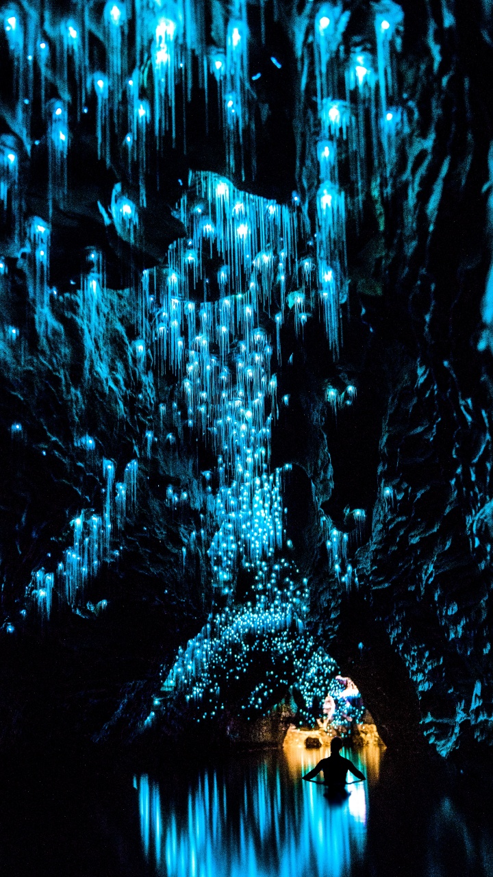 Обои Вайтомо пещеры светлячков, пещеры вайтомо, пещера Руакури, светлячок, светляк в разрешении 720x1280